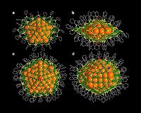 Researchers synthesize atomically precise diamond-shaped nanoclusters of silver