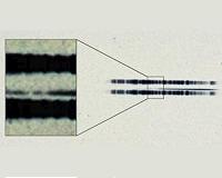 1917 astronomical plate has first-ever evidence of exoplanetary system