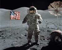 Kangaroos On The Moon