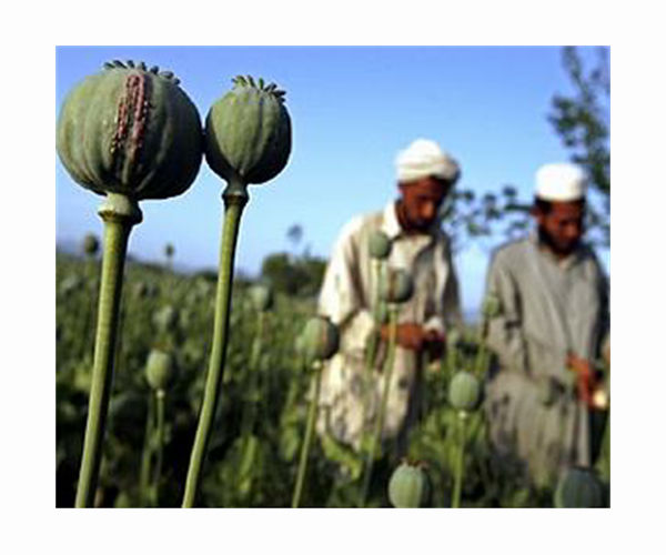 Scientists discover earliest remnants of opium use