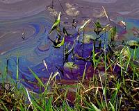 Putin declares state of emergency over Siberian fuel spill