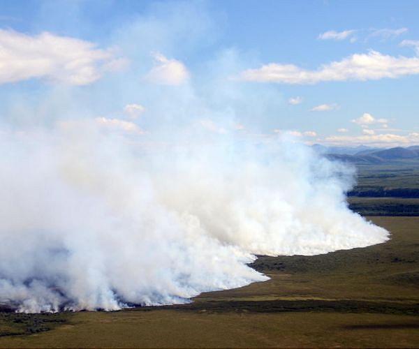 Fire on Ice: The Arctic's Changing Fire Regime