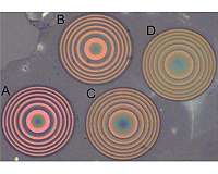 Scientists engineer a functional optical lens out of 2D materials