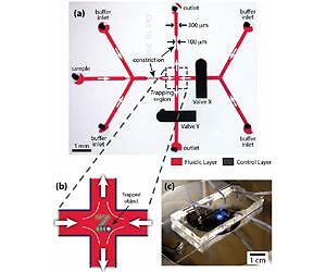 New microfluidic method expands toolbox for nanoparticle manipulation