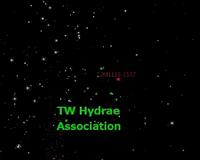 Young, unattached Jupiter analog found in solar neighborhood