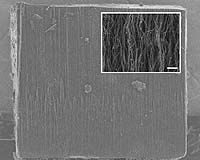 Tough Tubes: Carbon Nanotubes Endure Heavy Wear And Tear