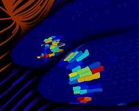 Scientists discover plant 'brain' controlling seed development