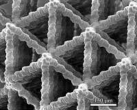 Novel 3-D manufacturing leads to highly complex, bio-like materials