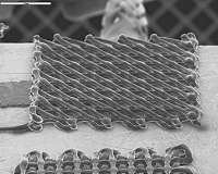 3-D printing and nanotechnology, a mighty alliance to detect toxic liquids