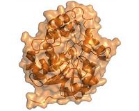 Plant biosensor could help African farmers fight parasitic 'witchweed'
