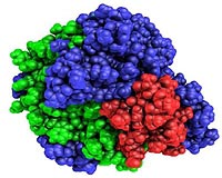 Caltech Scientists Create New Enzymes For Biofuel Production