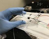 New 3D printer can create complex biological tissues