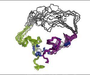 First artificial enzyme created by evolution in a test tube
