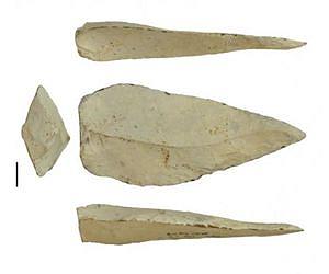 Archaeologists identify spear tips used in hunting a half-million years ago