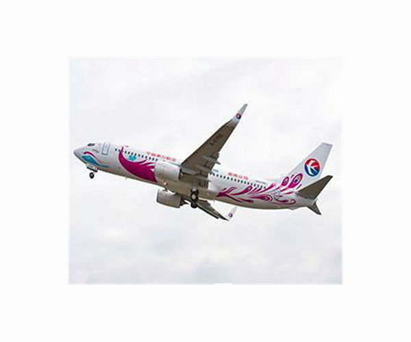 Flight data shows China Eastern jet deliberately crashed: report