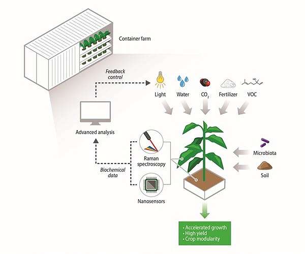 SMART develops analytical tools to enable next-generation agriculture