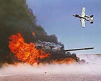 Fungi Have A Hand In Depleted Uranium's Environmental Fate