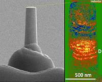 High entropy alloys hold the key to studying dislocation avalanches in metals