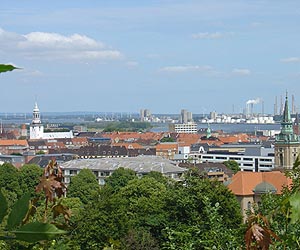 UN urges cities to protect their trees