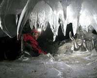 Warm Antarctic caves harbour secret life: scientists