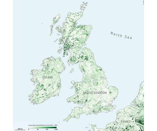 Maps to improve forest biomass estimates