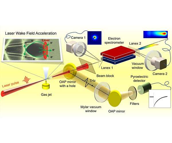 Understanding laser accelerated electron radiation through terahertz emissions