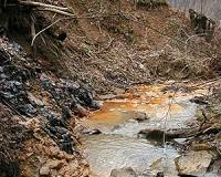 Mining can damage fish habitats far downstream