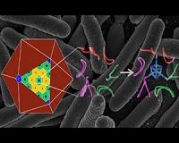 Scientists take key step toward custom-made nanoscale chemical factories