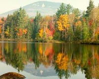 Database Shows Effects Of Acid Rain On Microorganisms In Adirondack Lakes