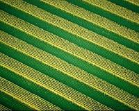 Climate change and air pollution will combine to curb food supplies