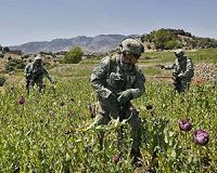 Afghan anti-corruption efforts struggle: US watchdog