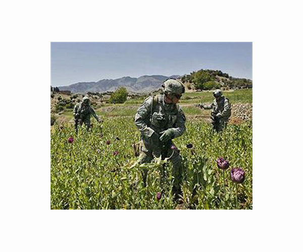 Hubris: Experts add up reasons for US 'failure' in Afghanistan