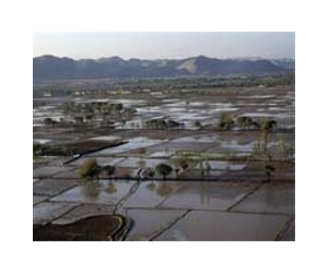 Flash flood kills 28 in Afghan north: officials