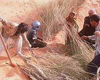 World Desertification Day Puts Spotlight On Neglected Crisis
