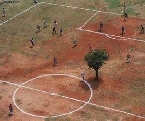 A Sunny Legacy In Africa