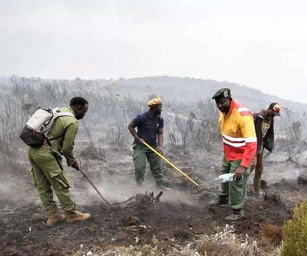 Multiple fires ravage Mount Kilimanjaro