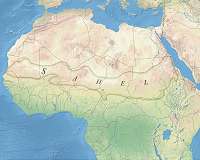 US general asks Europeans to do more for French in Africa