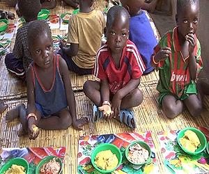 Orange Corn Holds Promise For Reducing Blindness And Child Mortality