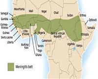 Meningitis epidemic kills more than 250 in Niger