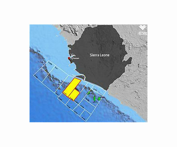 Chinese-funded harbour in Sierra Leone stirs environmental fears