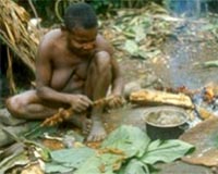 African pygmy genetics are traced
