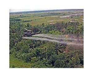 Vietnam, US begin historic Agent Orange cleanup