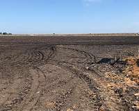 Improving soil quality can slow global warming