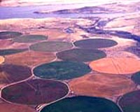 ORNL, Los Alamos Pioneer New Approach To Assist Scientists, Farmers