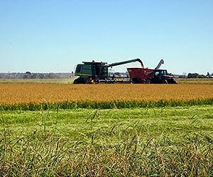 World Population Day: Agriculture Offers Huge Opportunities for a Planet of 7 Billion