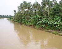 Farming threatens three important Philippines rivers: officials