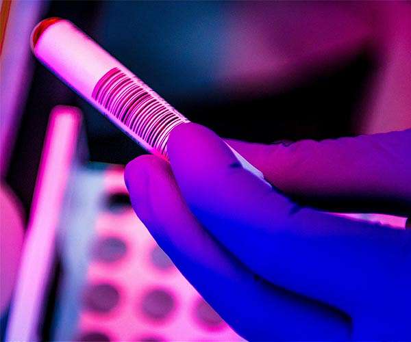 AI could help scientists ID the next virus to jump from animals to humans