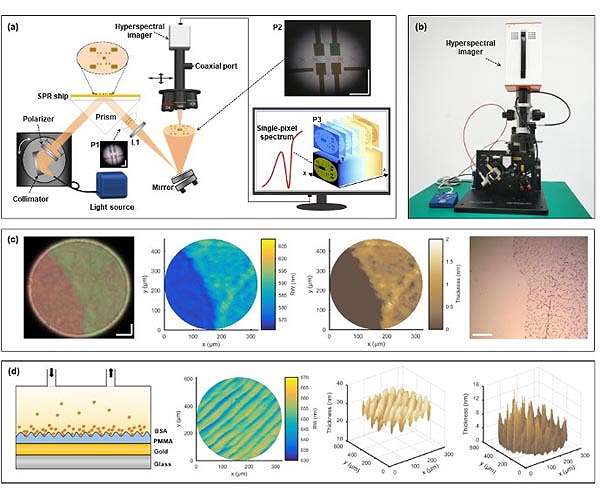 AIR Scientists Develop Hyperspectral Surface Plasmon Resonance Microscopy