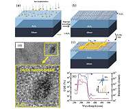 UV narrow-band photodetector based on indium oxide nanocrystals