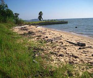 Microbial communities shifted dramatically after Deepwater Horizon spill